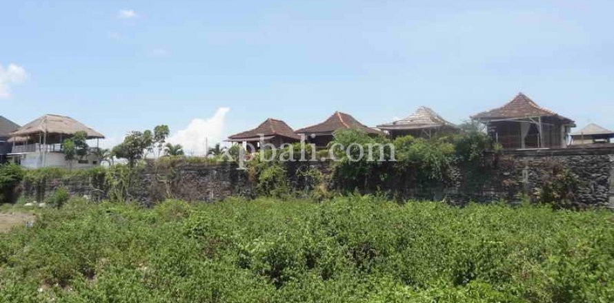 1160m2 Land in Canggu, Badung, Indonesia No. 470