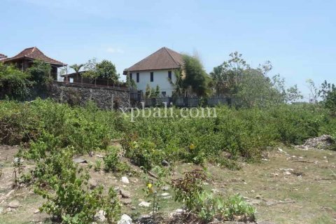 1160m2 Land in Canggu, Badung, Indonesia No. 470 8