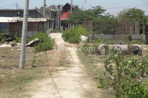 1160m2 Land in Canggu, Badung, Indonesia No. 470 5
