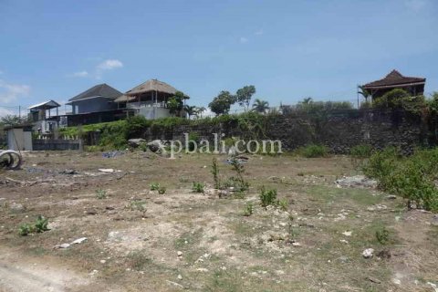 1160m2 Land in Canggu, Badung, Indonesia No. 470 3