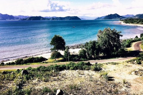 Land in Indonesia No. 11696