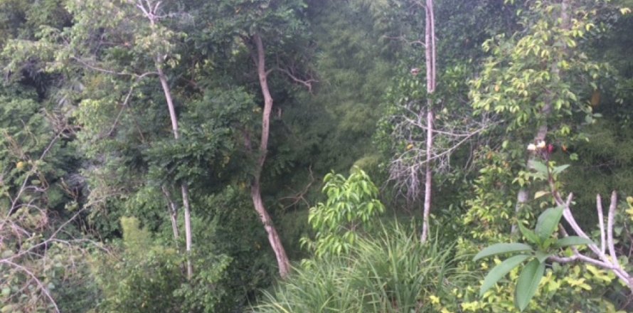 Land in Klungkung, Indonesia No. 11701