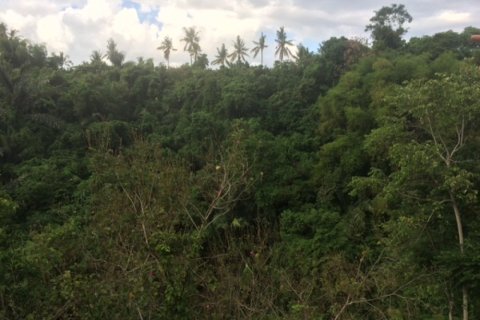 Land in Klungkung, Indonesia No. 11701 2