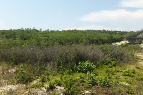 Land in Ungasan, Badung, Indonesia No. 11697 4
