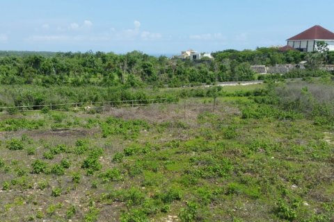 Land in Ungasan, Badung, Indonesia No. 11697 7
