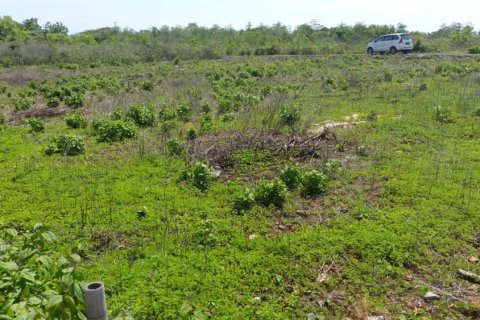 Land in Ungasan, Badung, Indonesia No. 11697 8