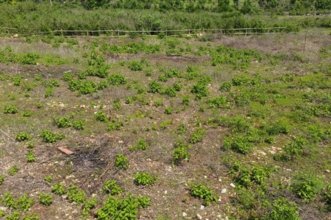 Land in Ungasan, Badung, Indonesia No. 11697