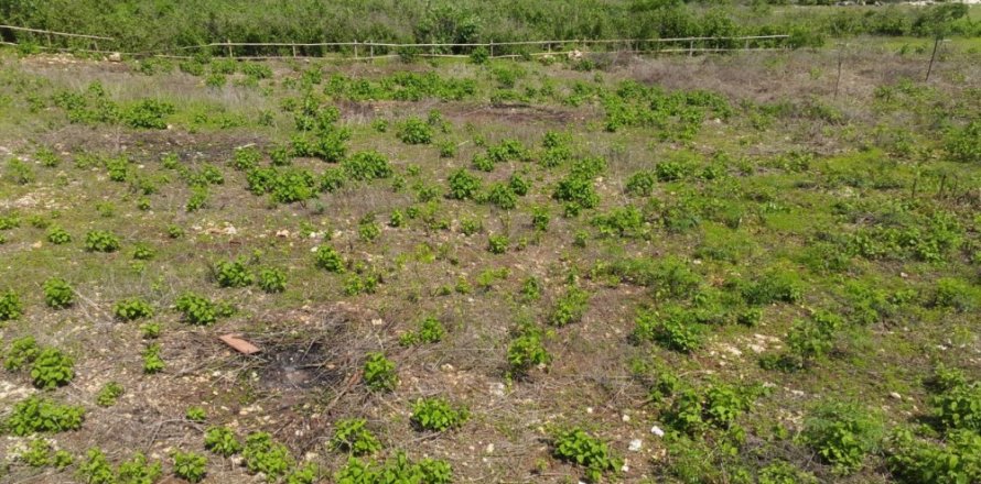 Land in Ungasan, Badung, Indonesia No. 11697