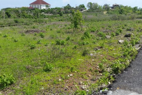 Land in Ungasan, Badung, Indonesia No. 11697 9