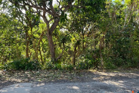 Land in Kuta, Badung, Indonesia No. 11146 3