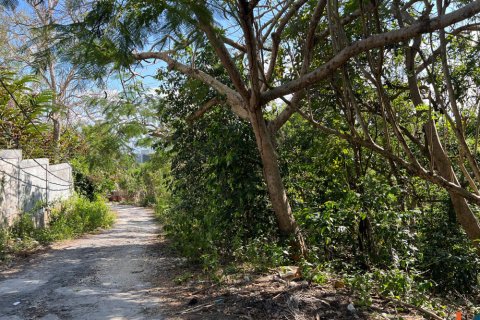Land in Kuta, Badung, Indonesia No. 11146 4