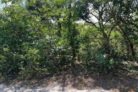 Land in Kuta, Badung, Indonesia No. 11146 2
