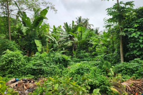 Land in Munggu, Mengwi, Badung, Indonesia No. 11143