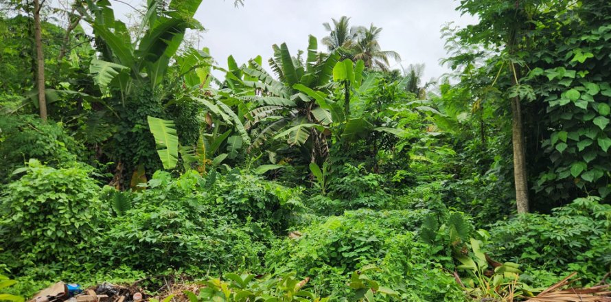 Land in Munggu, Mengwi, Badung, Indonesia No. 11143