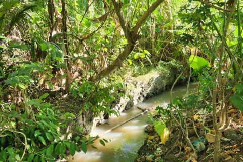 Land in Munggu, Mengwi, Badung, Indonesia No. 11143 2