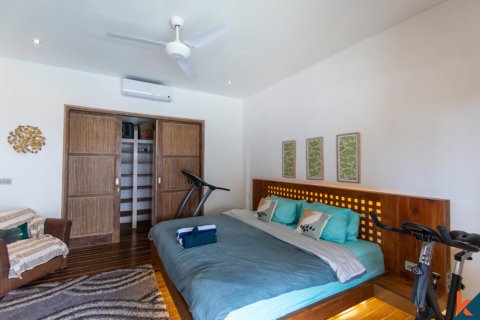 4 bedrooms Villa in Kerobokan, Badung, Indonesia No. 11140 13