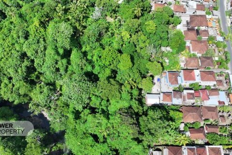 Земельный участок 1204м2 в Tabanan, Табанан, Индонезия № 9017