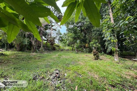 Земельный участок 1850м2 в Canggu, Бадунг, Индонезия № 9015 7