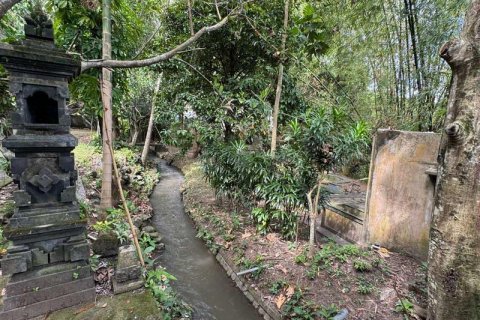 Земельный участок 1850м2 в Canggu, Бадунг, Индонезия № 9015 5