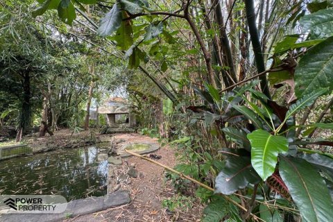 Земельный участок 1850м2 в Canggu, Бадунг, Индонезия № 9015 16
