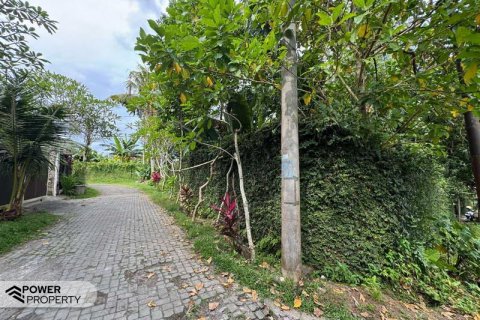 Земельный участок 1850м2 в Canggu, Бадунг, Индонезия № 9015 12