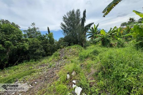 Земельный участок 1850м2 в Canggu, Бадунг, Индонезия № 9015 10