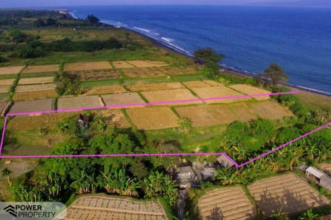 3311m2 Land in Klungkung, Indonesia No. 7679 5