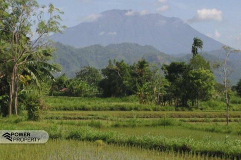 3311m2 Land in Klungkung, Indonesia No. 7679 2
