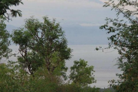 11000m2 Land in Nusa Penida, Klungkung, Indonesia No. 7675 4