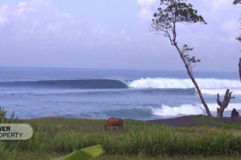 9700m2 Land in Klungkung, Indonesia No. 7678 3