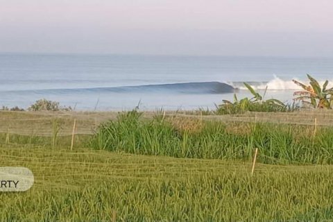 9700m2 Land in Klungkung, Indonesia No. 7678