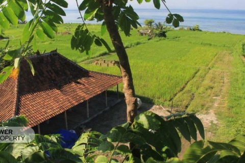 9700m2 Land in Klungkung, Indonesia No. 7678 2