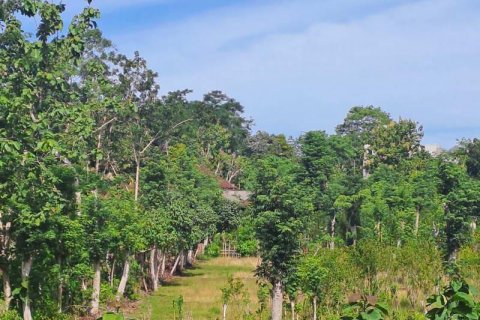 3000m2 Land in South Kuta, Badung, Indonesia No. 7676