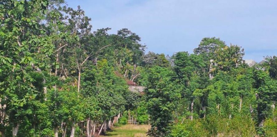 3000m2 Land in South Kuta, Badung, Indonesia No. 7676