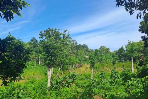3000m2 Land in South Kuta, Badung, Indonesia No. 7676 2