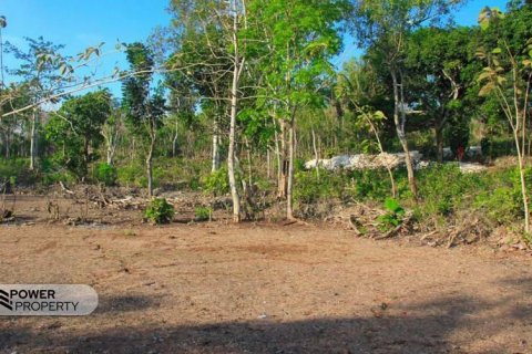 3000m2 Land in South Kuta, Badung, Indonesia No. 7676 6