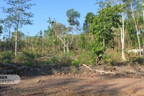 3000m2 Land in South Kuta, Badung, Indonesia No. 7676 4