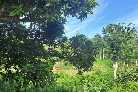 3000m2 Land in South Kuta, Badung, Indonesia No. 7676 3