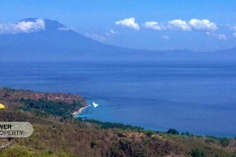 6000m2 Land in Nusa Penida, Klungkung, Indonesia No. 7677