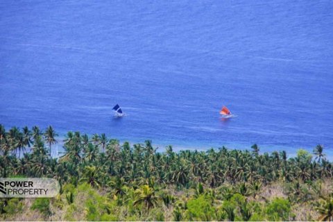 Земельный участок 6000м2 в Nusa Penida, Клунгкунг, Индонезия № 7677 2