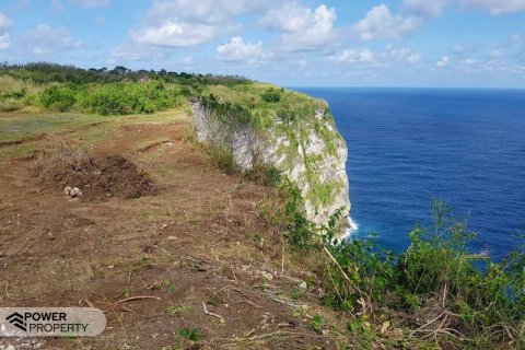 Земельный участок 650м2 в Nusa Penida, Клунгкунг, Индонезия № 9019 2