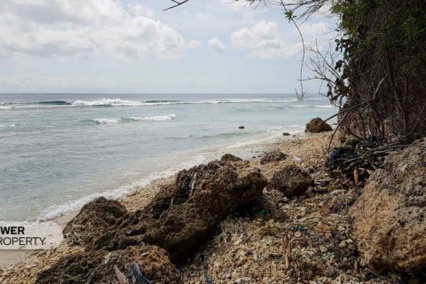 1700m2 Land in Nusa Penida, Klungkung, Indonesia No. 9020 12