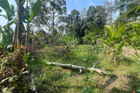 Land in Badung, Indonesia No. 13523 2