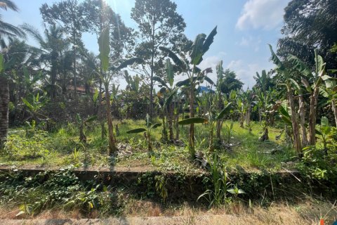 Land in Badung, Indonesia No. 13523 4