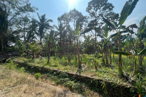 Land in Badung, Indonesia No. 13523 3