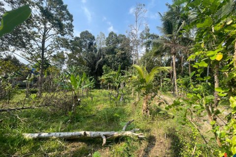 Land in Badung, Indonesia No. 13523