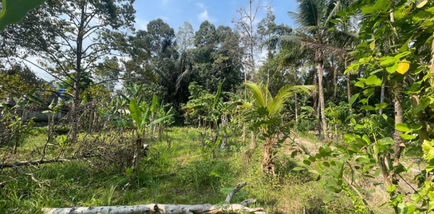 Land in Badung, Indonesia No. 13523