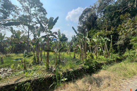 Land in Badung, Indonesia No. 13523 5