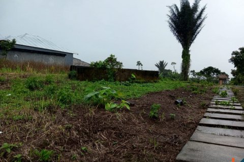 Land in Buleleng, Indonesia No. 13522