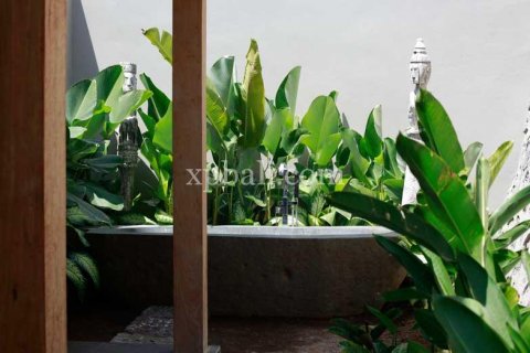 4 bedrooms Villa in Lovina, Anturan, Buleleng, Indonesia No. 7962 2